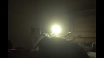 Post 8 by Angie's Resonance on YouTube (video)