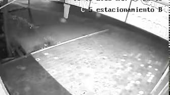 Post 5 by LA PERLA TAPATIA on YouTube (video)