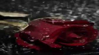 Post 6 by Jorge Fuentes smallville on YouTube (video)