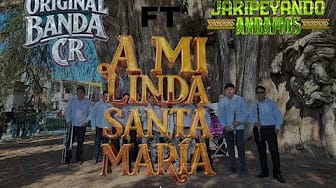 Post 1 by LA ORIGINAL BANDA CR on YouTube (video)