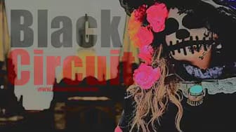 Post 3 by Black Circuit on YouTube (video)