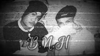 Post 3 by BNHcrew on YouTube (video)