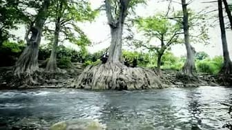 Post 2 by Orlando Elizalde on YouTube (video)