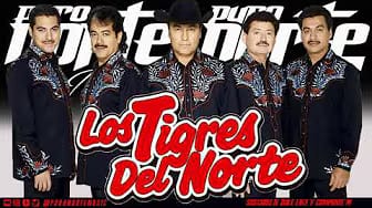 Post 7 by Puro Norte Music on YouTube (video)