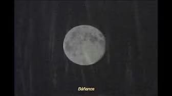 Post 10 by Leonora Post Punk on YouTube (video)
