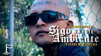 Post 2 by FLEXOS MDB on YouTube (video)