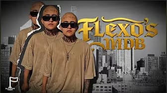 Post 3 by FLEXOS MDB on YouTube (video)