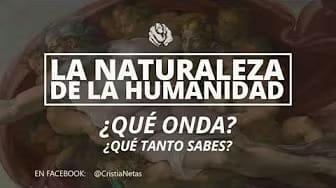 Post 8 by CristiaNetas on YouTube (video)
