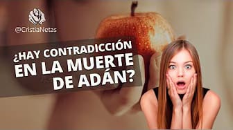 Post 5 by CristiaNetas on YouTube (video)