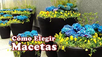 Post 8 by Tips y Recetas on YouTube (video)