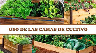 Post 7 by Tips y Recetas on YouTube (video)