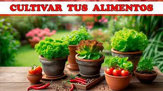 Post 4 by Tips y Recetas on YouTube (video)