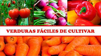 Post 6 by Tips y Recetas on YouTube (video)