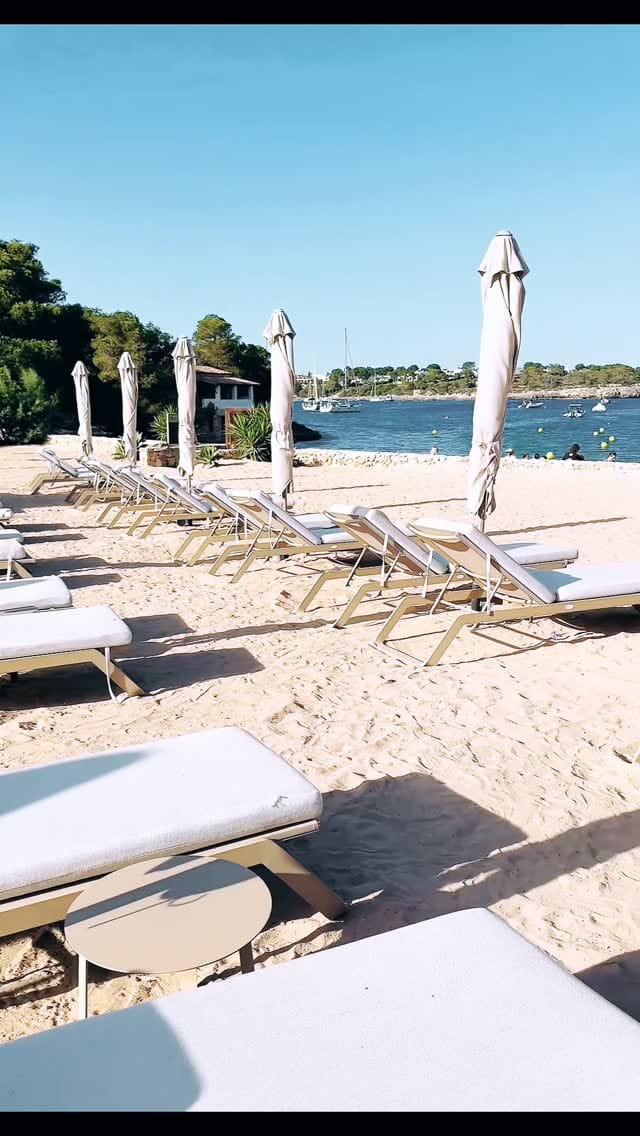 Post 4 by BOHO BEAUTY BY T- Tricia T. CA based on Instagram (video)