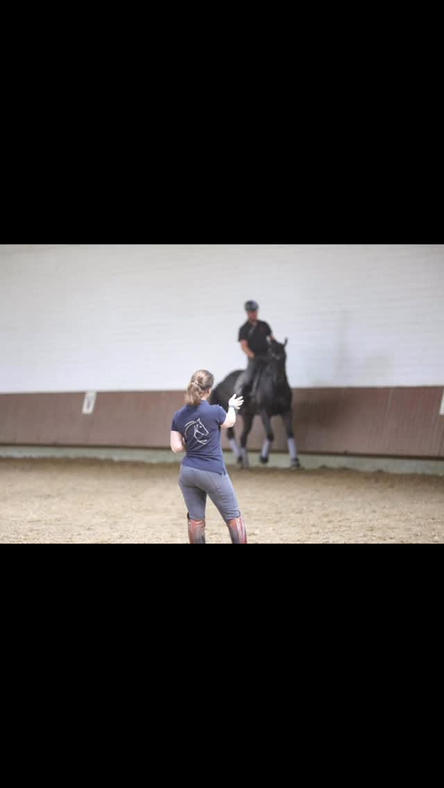 Post 4 by Judy Reynolds on Instagram (video)