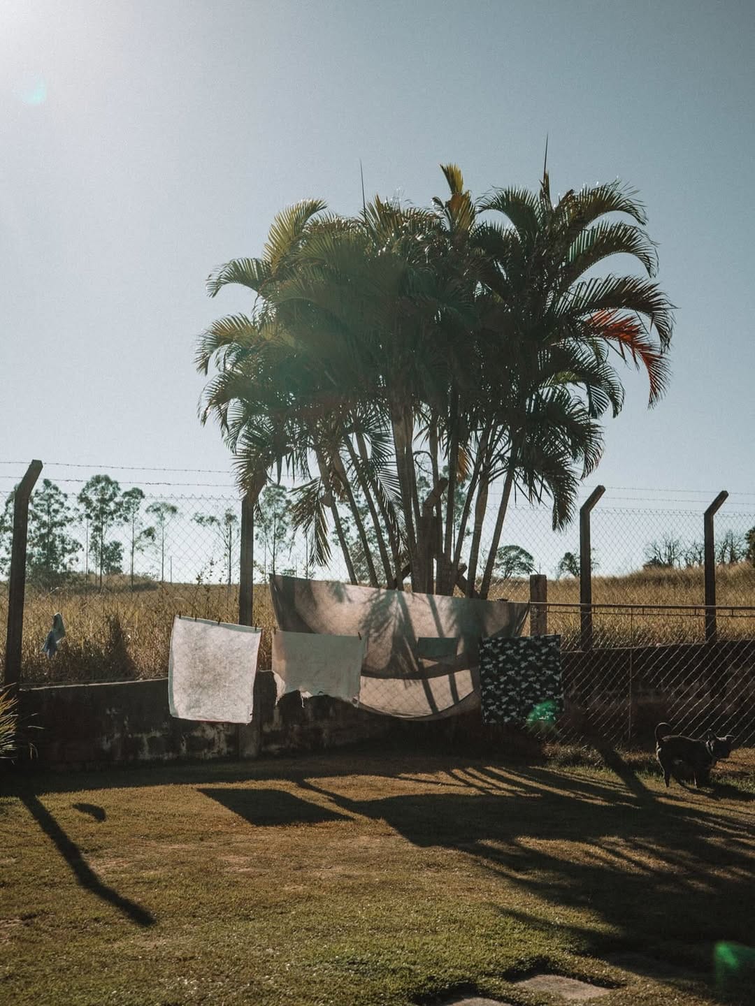 Post 7 by Tati Dias ☽ on Instagram (carousel)