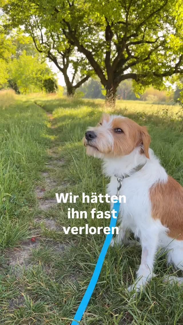 Post 7 by Katja Heil - Fräulein K sagt Ja on Instagram (video)
