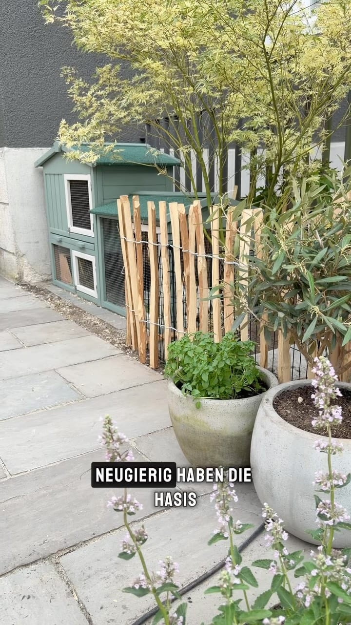Post 2 by Katja Heil - Fräulein K sagt Ja on Instagram (video)