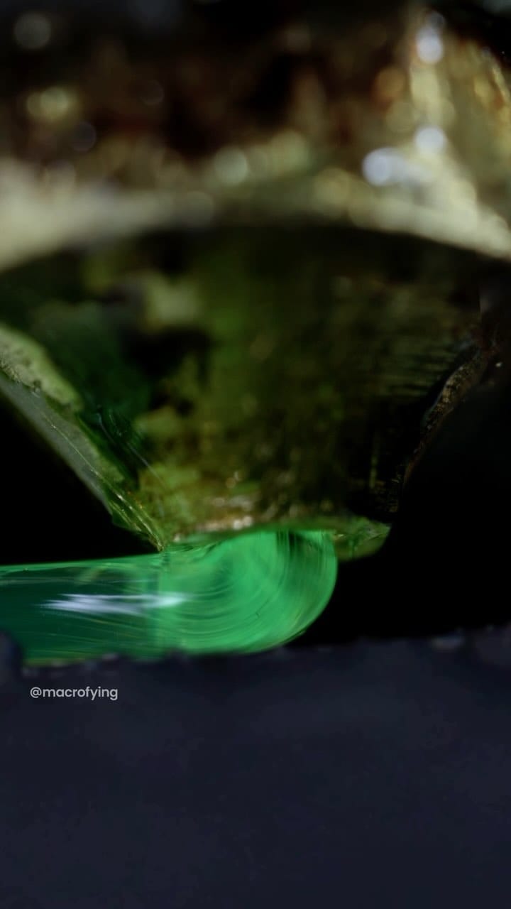 Post 1 by macrofying on Instagram (video)