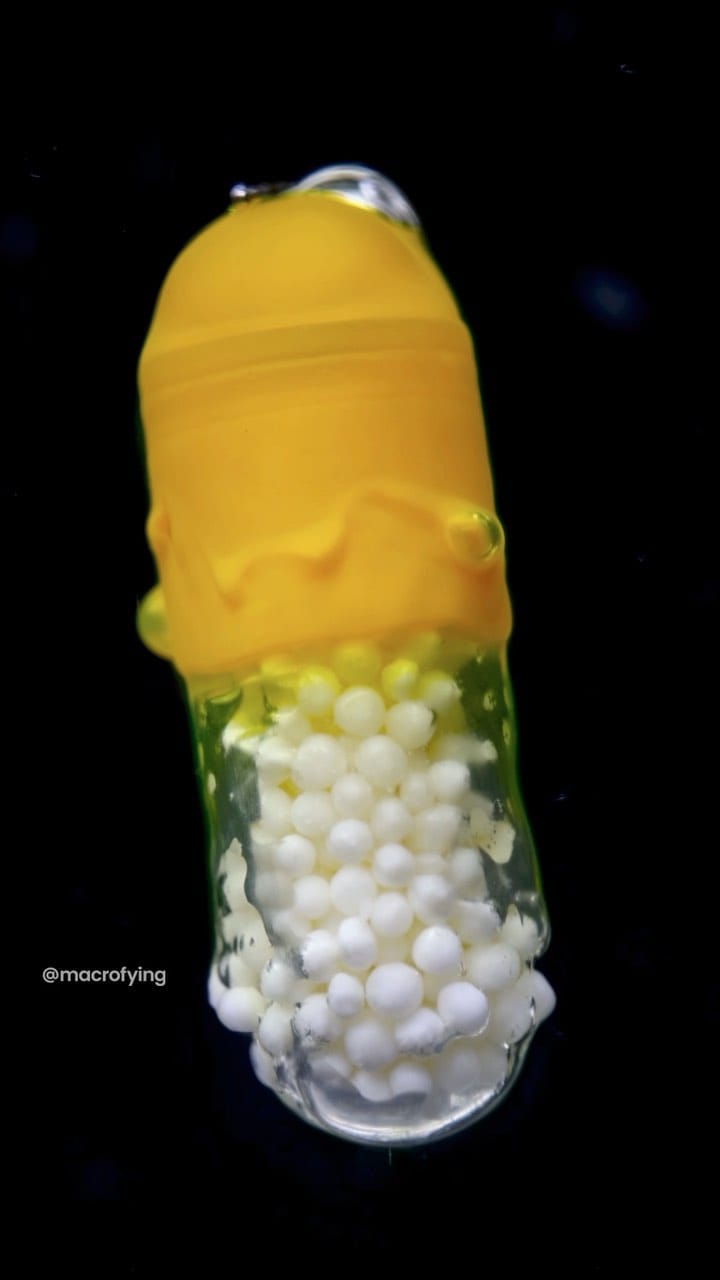 Post 9 by macrofying on Instagram (video)