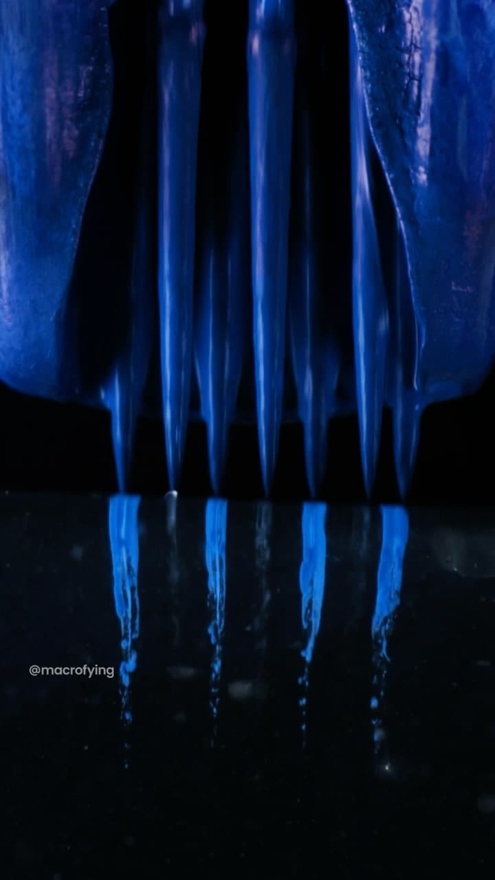Post 3 by macrofying on Instagram (video)