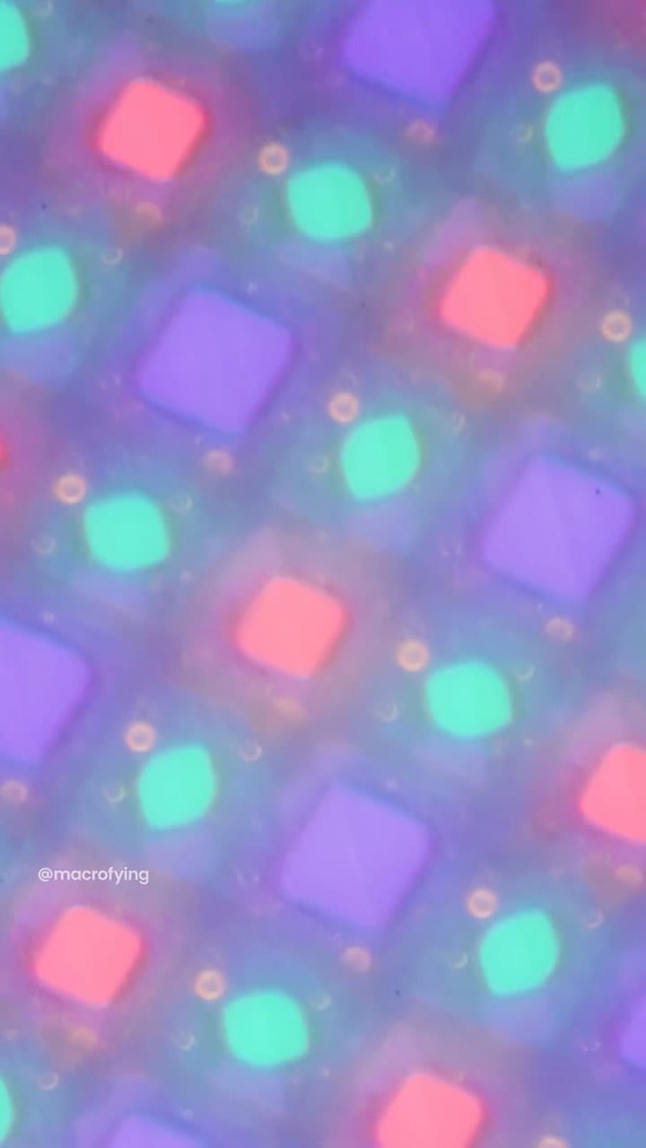 Post 2 by macrofying on Instagram (video)