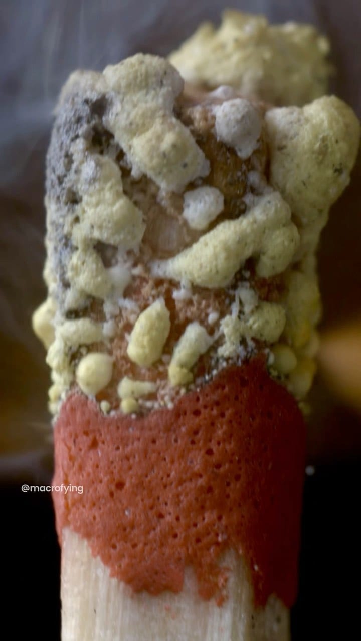 Post 5 by macrofying on Instagram (video)