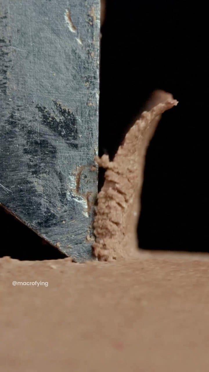 Post 6 by macrofying on Instagram (video)