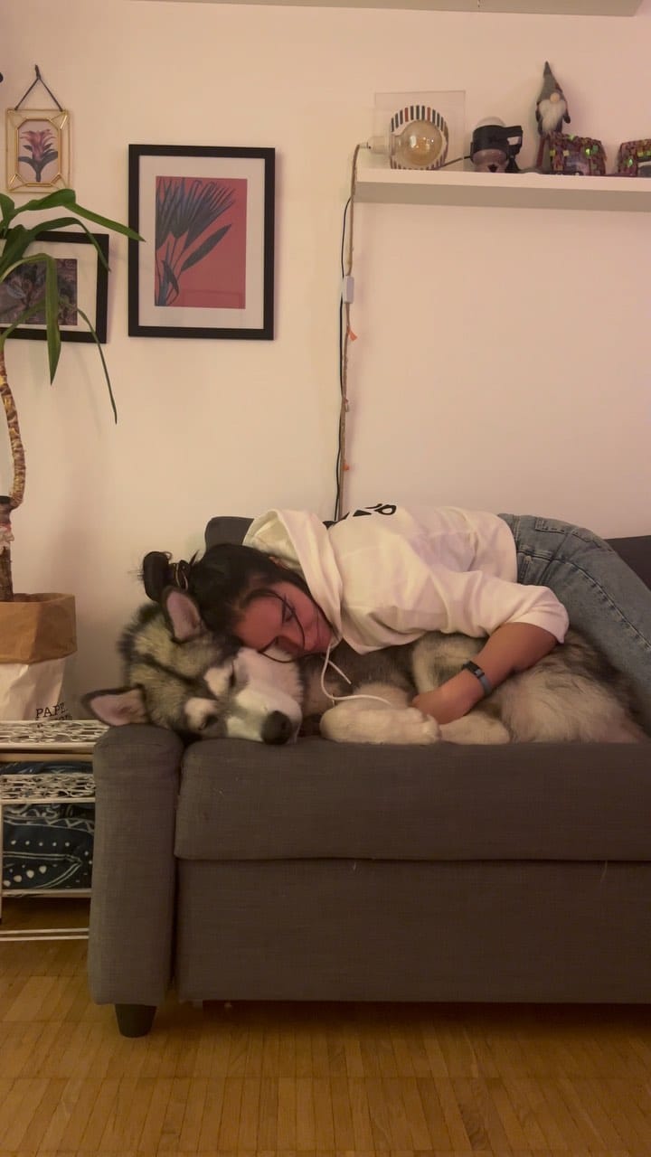Post 10 by N A G A 🐾 /  N O V A🐾 🧿  | Deniz Ünsal on Instagram (video)
