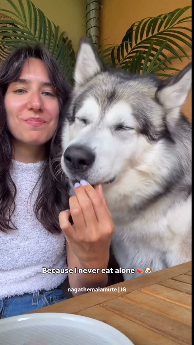 Post 7 by N A G A 🐾 /  N O V A🐾 🧿  | Deniz Ünsal on Instagram (video)