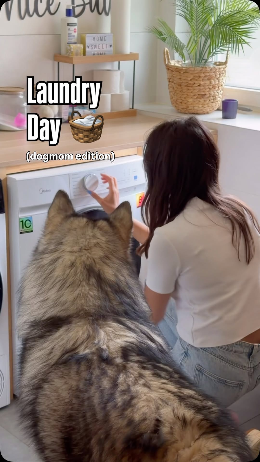 Post 3 by N A G A 🐾 /  N O V A🐾 🧿  | Deniz Ünsal on Instagram (video)