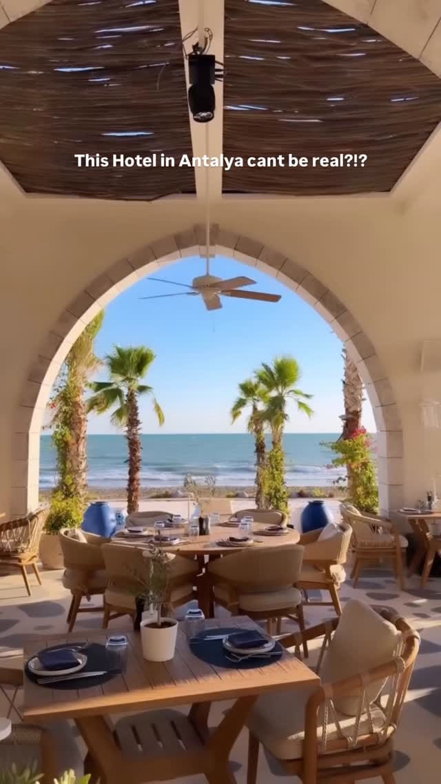 Post 4 by Samira Safi on Instagram (video)