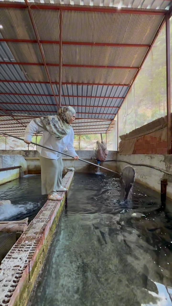 Post 5 by Canan Karakaya on Instagram (video)