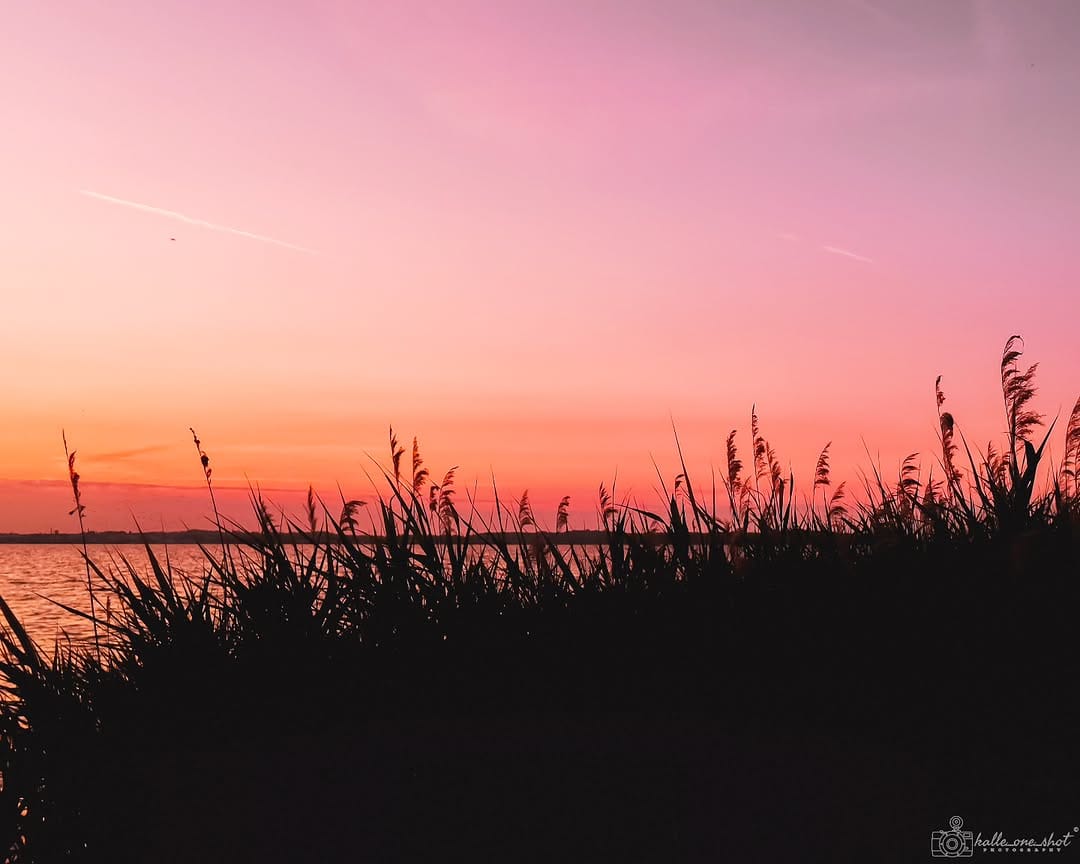 Post 3 by Pascal Groß on Instagram (image)