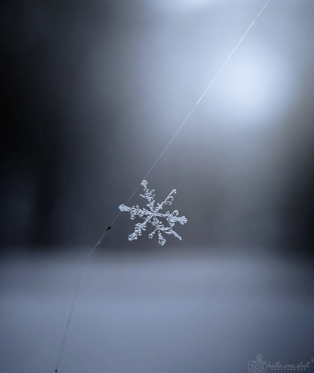 Post 8 by Pascal Groß on Instagram (image)