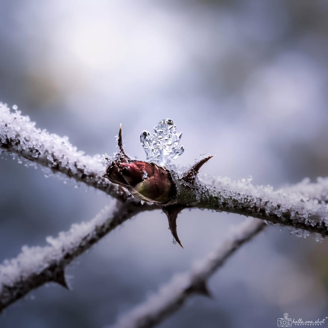 Post 5 by Pascal Groß on Instagram (image)