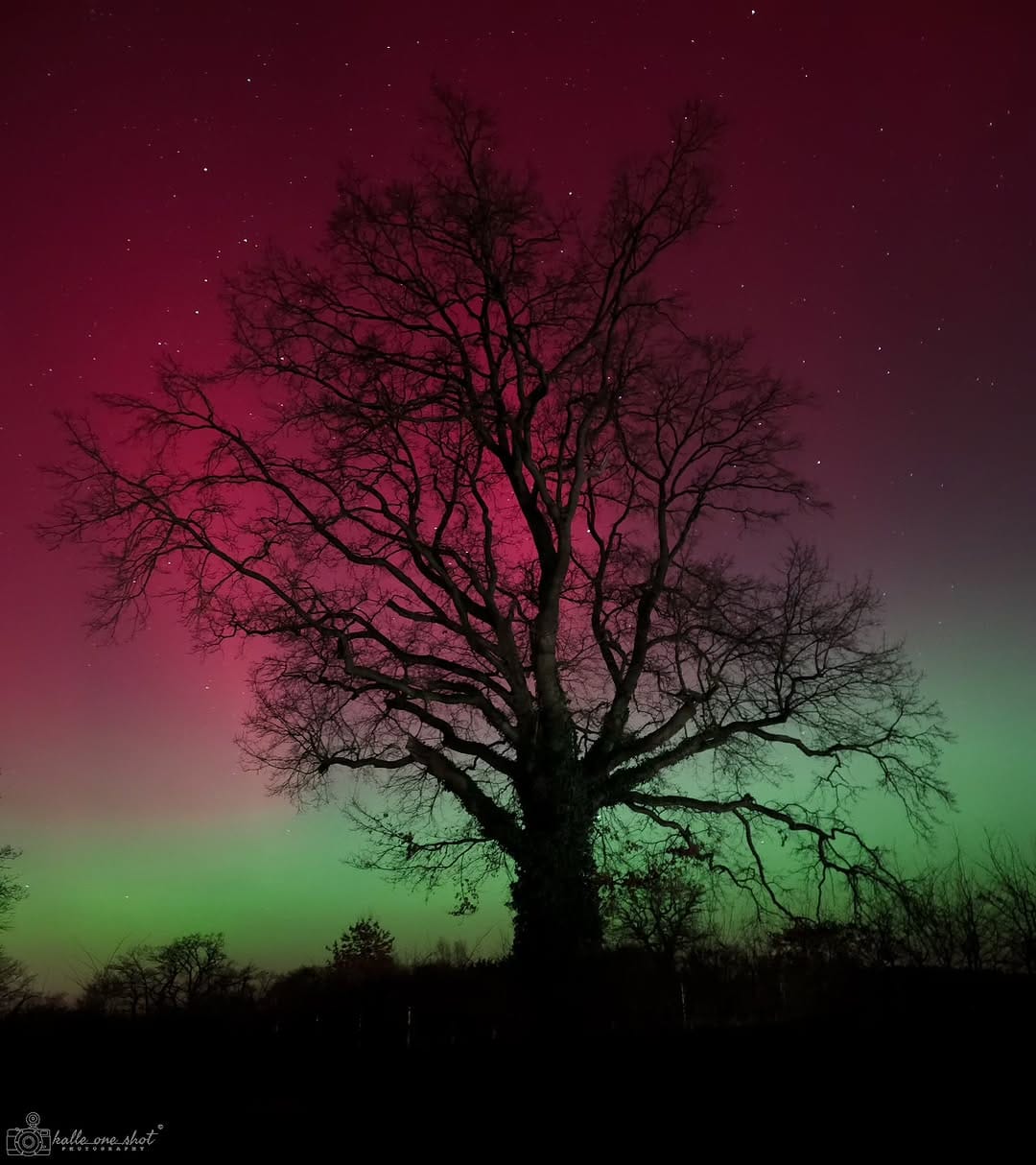 Post 6 by Pascal Groß on Instagram (image)