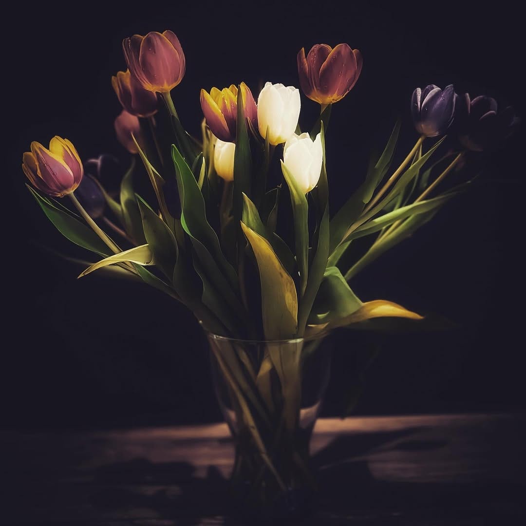 Post 8 by 🦋 Photograpy - Videography 🦋 on Instagram (image)