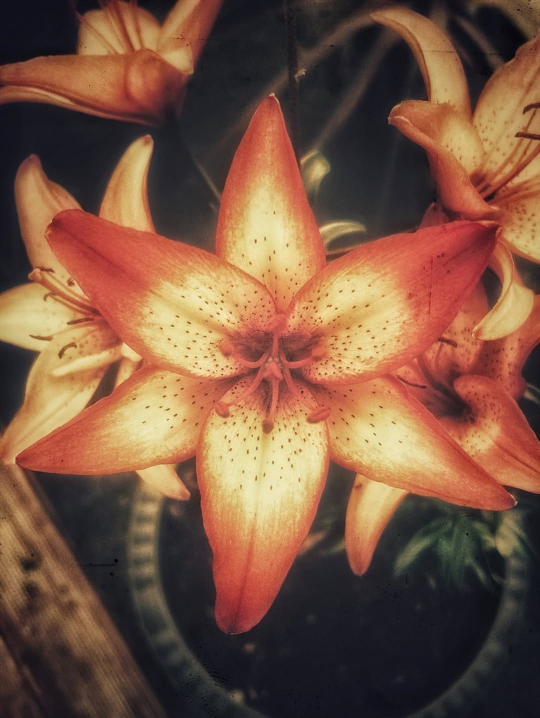 Post 4 by 🦋 Photograpy - Videography 🦋 on Instagram (image)