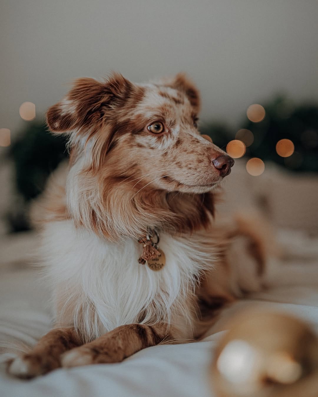 Post 1 by Yasmin Winter on Instagram (image)