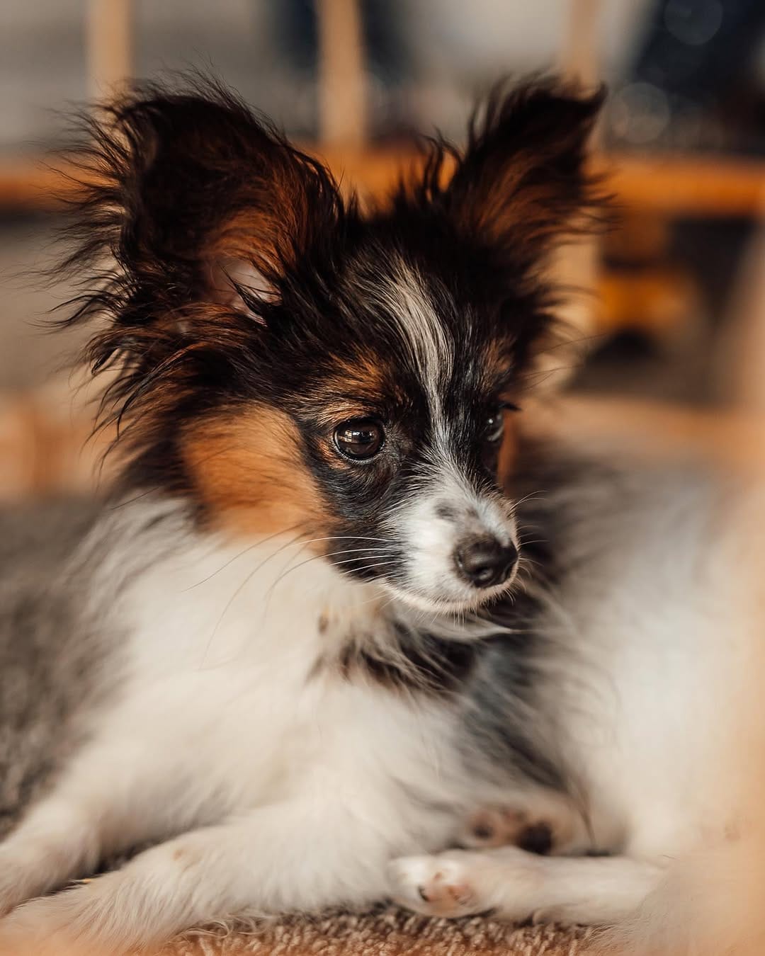 Post 5 by Yasmin Winter on Instagram (image)