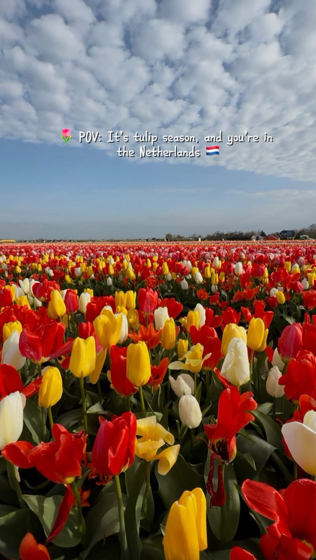 Post 9 by 𝗧𝗿𝗮𝘃𝗲𝗹 𝗗𝗶𝗮𝗿𝗶𝗲𝘀 𝗼𝗳 𝗛𝗮𝗳𝗦𝗲𝗻𝗟𝗶𝘃𝗶 🇲🇻|🇩🇪 on Instagram (video)