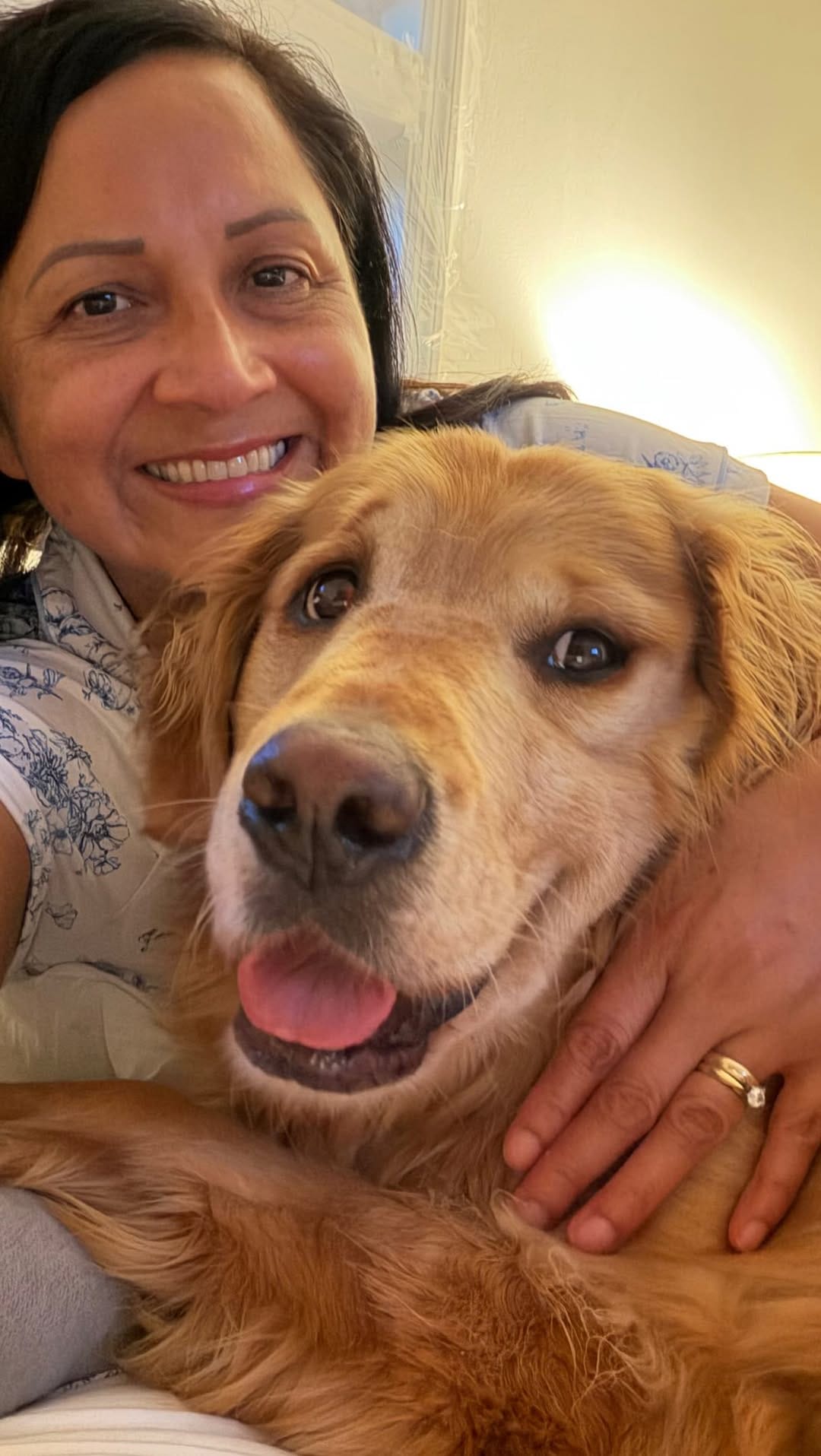 Post 5 by Astro & Comet | The Golden Retriever Brothers on Instagram (video)