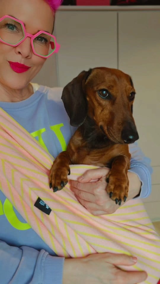 Post 5 by woof & wiggle on Instagram (video)