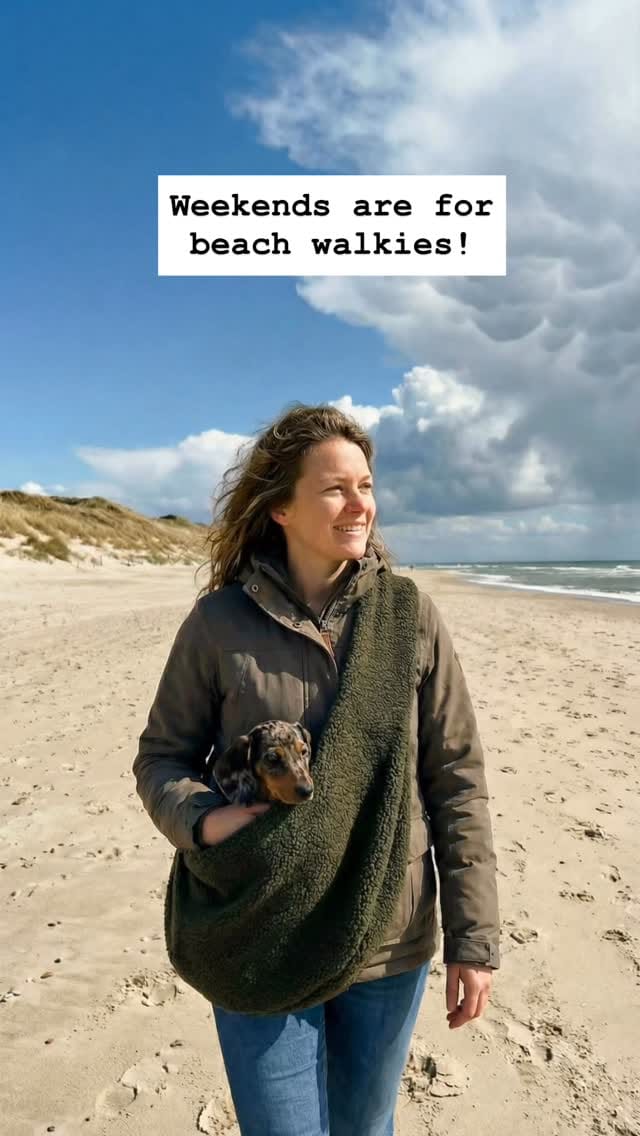 Post 9 by woof & wiggle on Instagram (video)