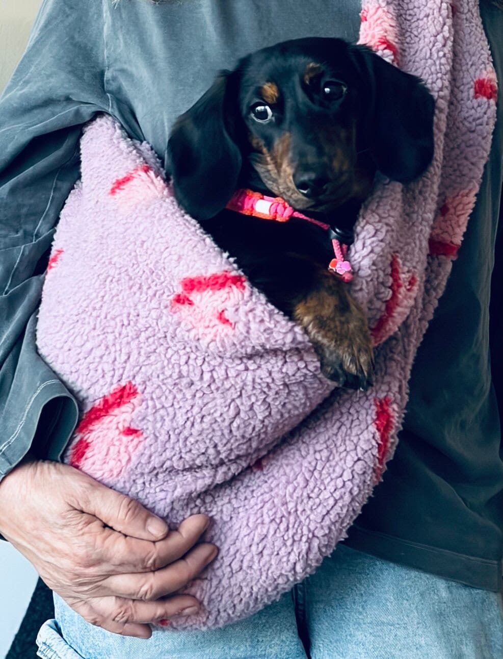 Post 4 by woof & wiggle on Instagram (carousel)
