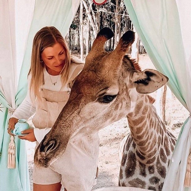Post 4 by Wild is Life Experience on Instagram (image)