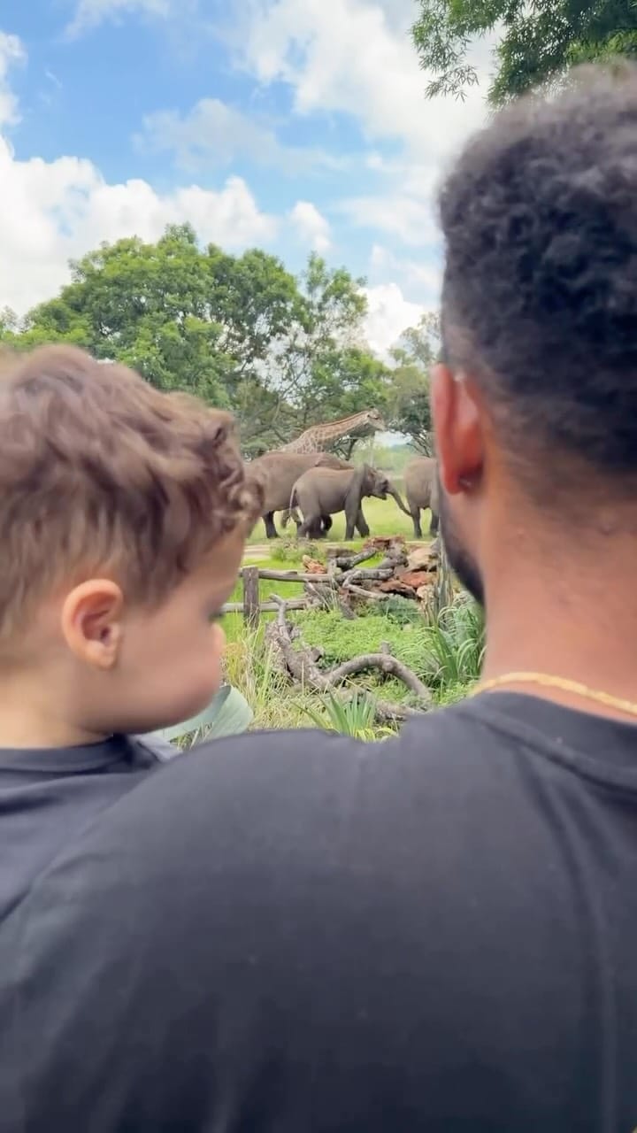 Post 2 by Wild is Life Experience on Instagram (video)