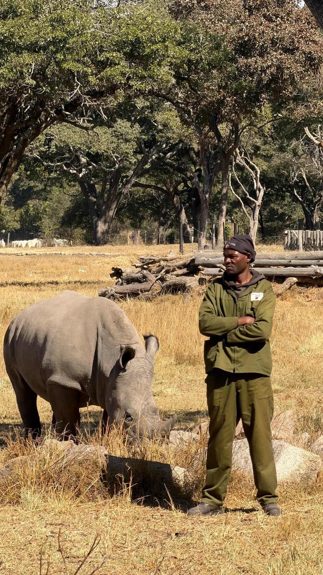 Post 7 by Wild is Life Experience on Instagram (video)