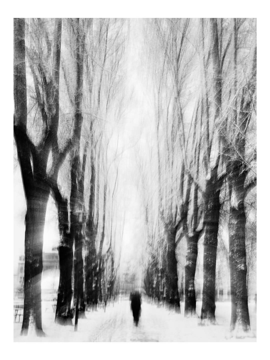 Post 10 by Nima Kashi on Instagram (image)